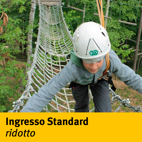 Ingresso standard (3h) - ridotto